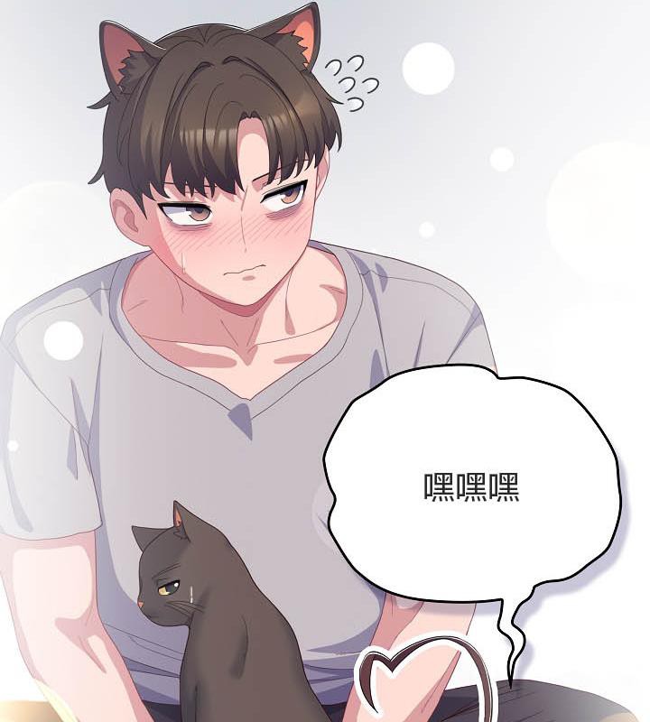 88P - 猫猫牵红线