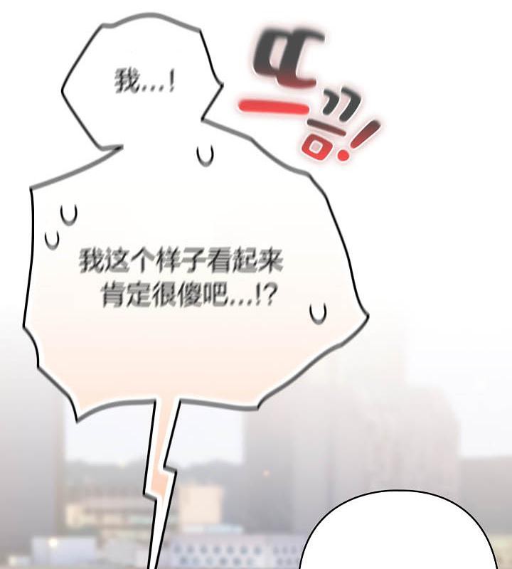 93P - 猫猫牵红线
