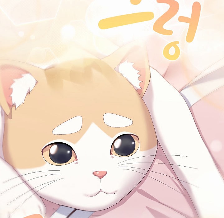 10P - 猫猫牵红线