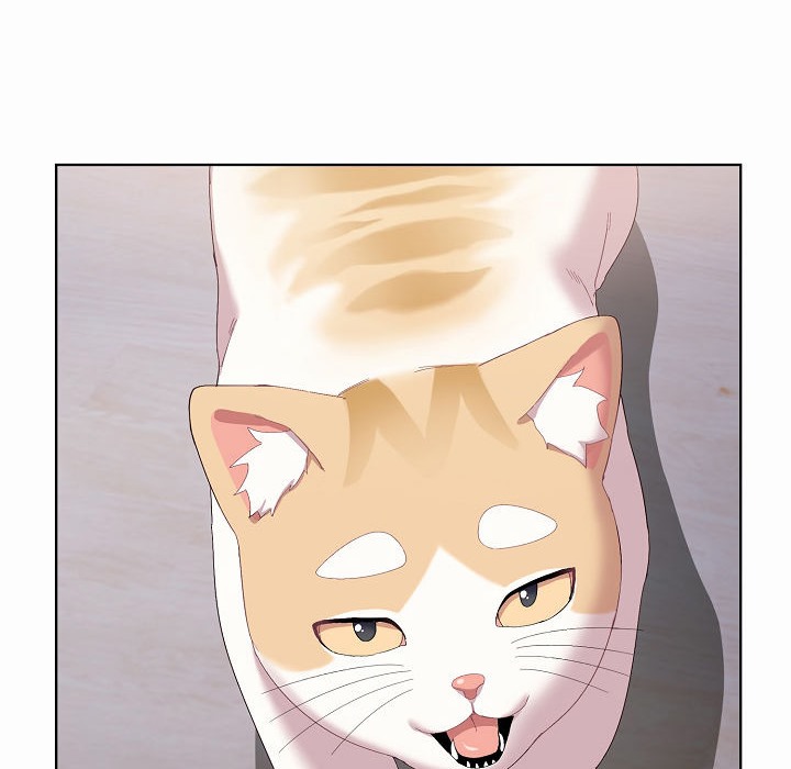 120P - 猫猫牵红线