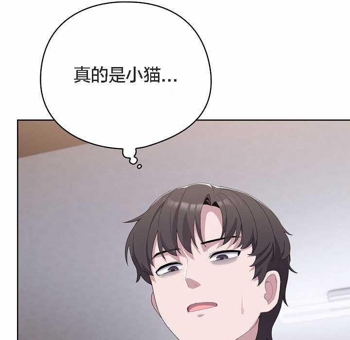 123P - 猫猫牵红线