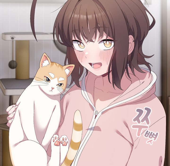 140P - 猫猫牵红线
