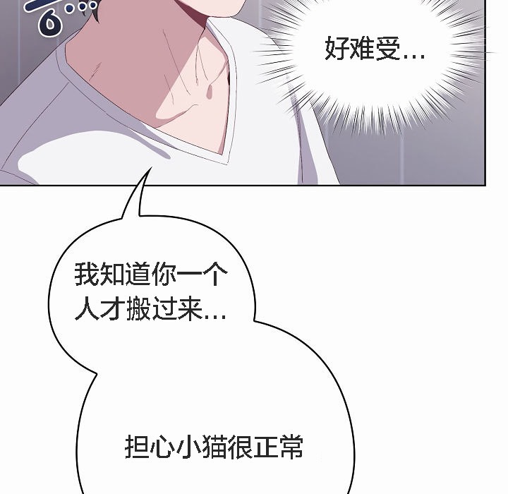 155P - 猫猫牵红线