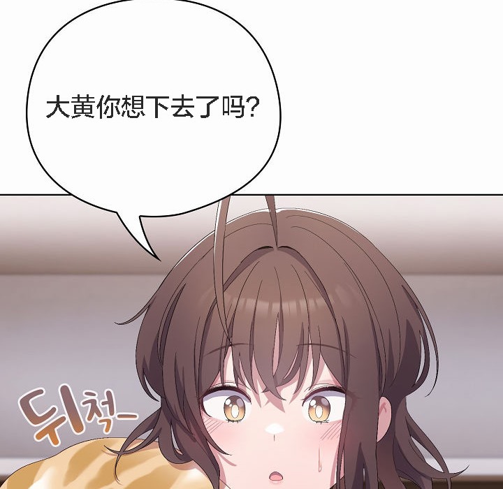 174P - 猫猫牵红线
