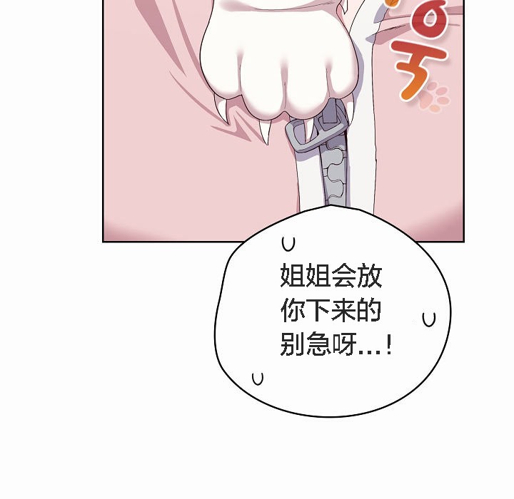 177P - 猫猫牵红线