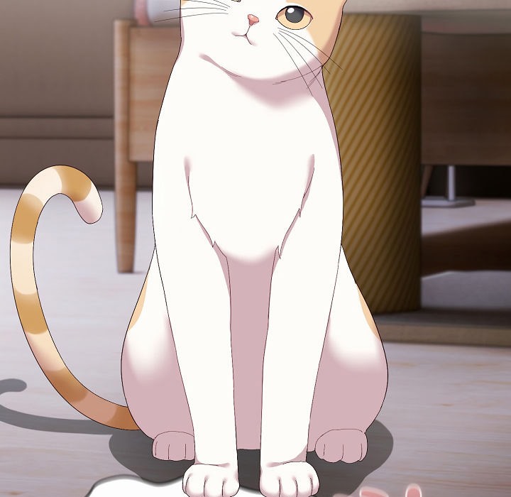 207P - 猫猫牵红线