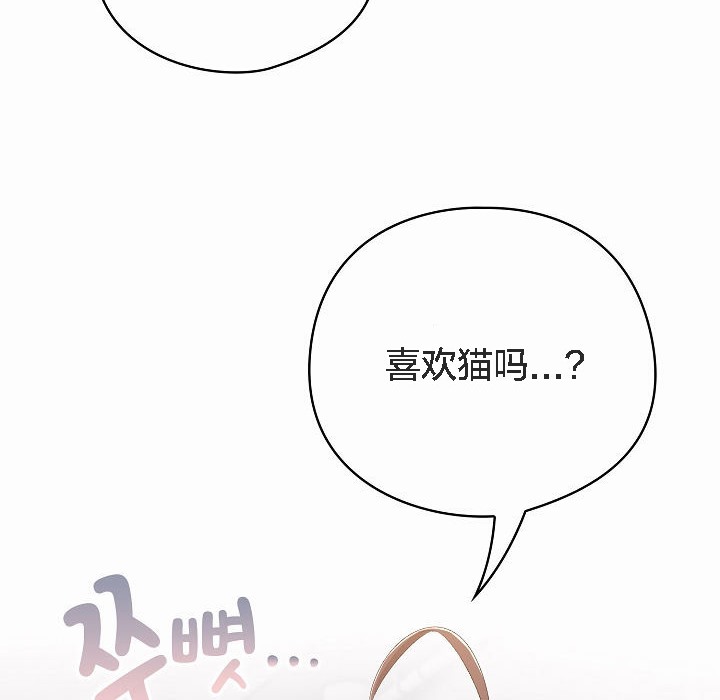 4P - 猫猫牵红线