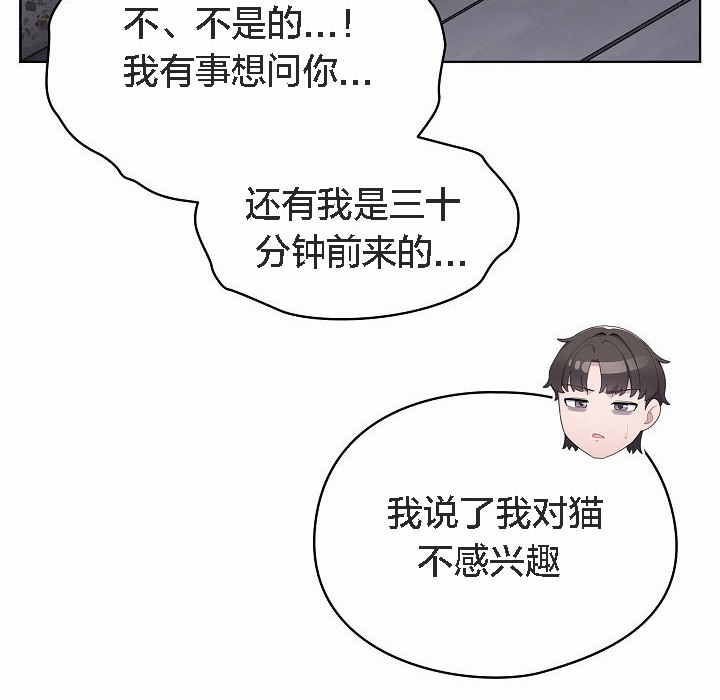 50P - 猫猫牵红线