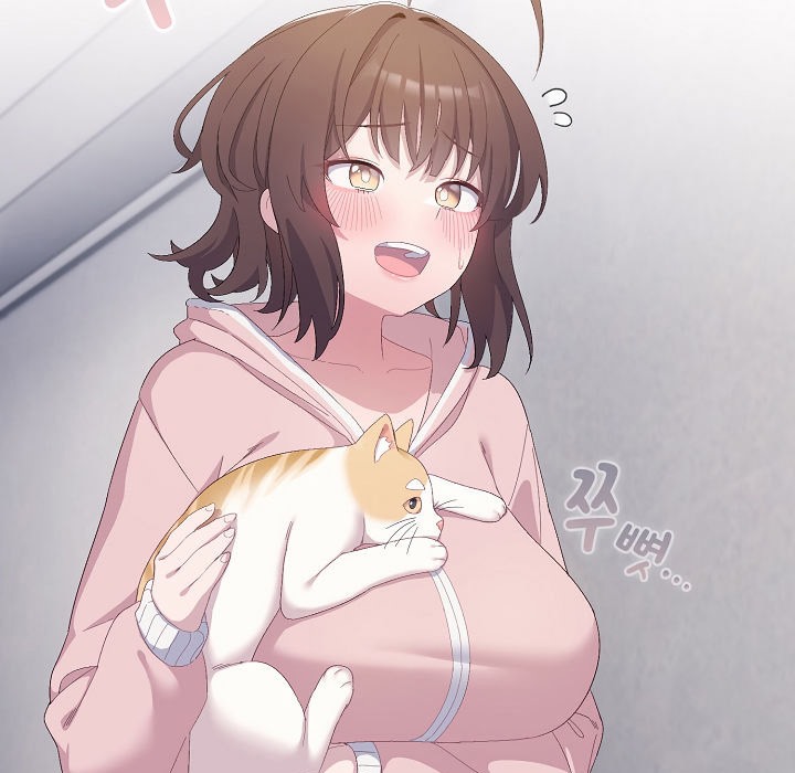 5P - 猫猫牵红线