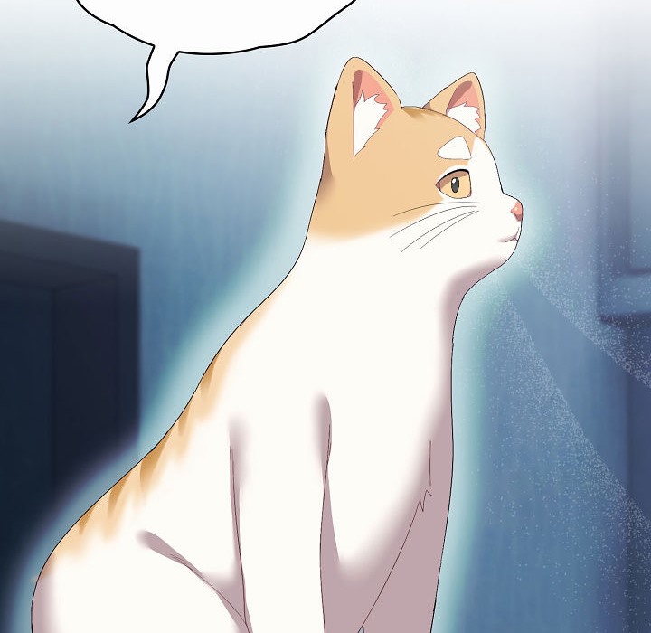 70P - 猫猫牵红线