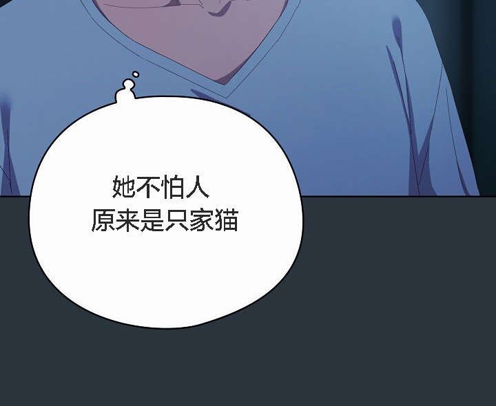 72P - 猫猫牵红线