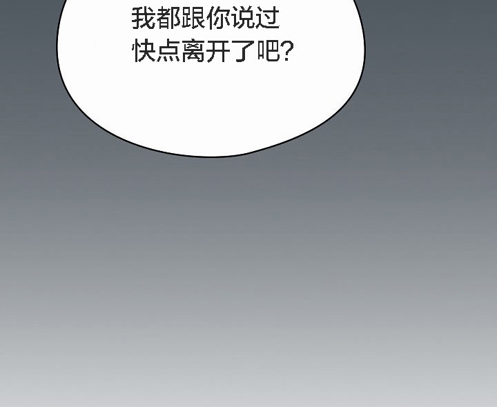 82P - 猫猫牵红线