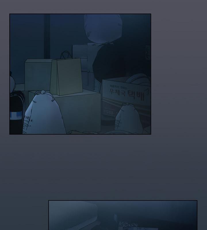 107P - 猫猫牵红线