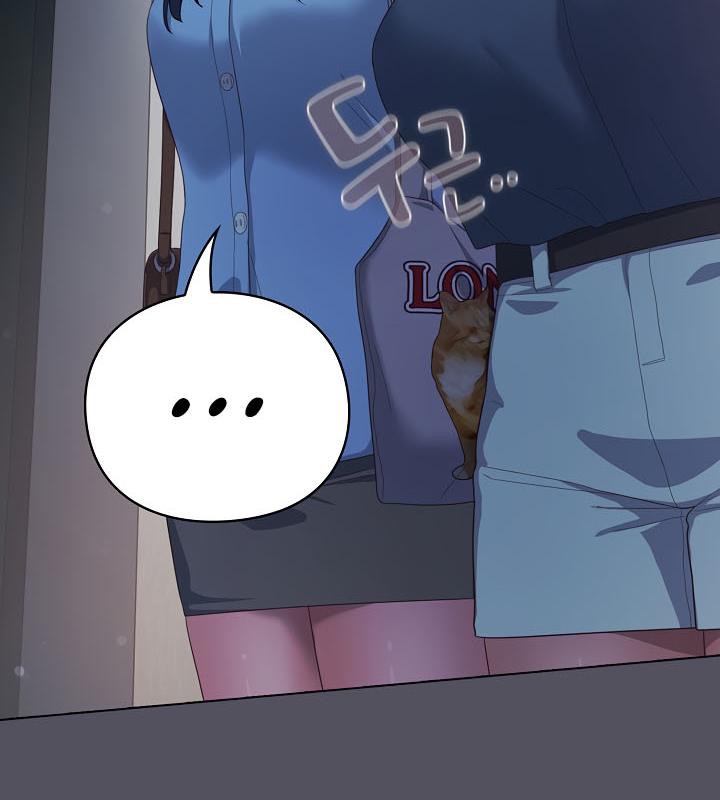 110P - 猫猫牵红线