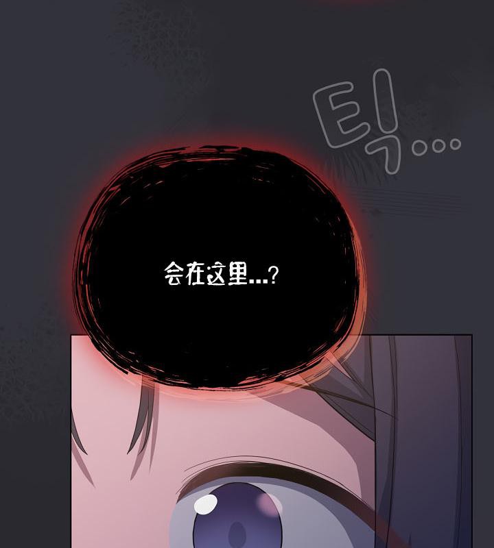 13P - 猫猫牵红线