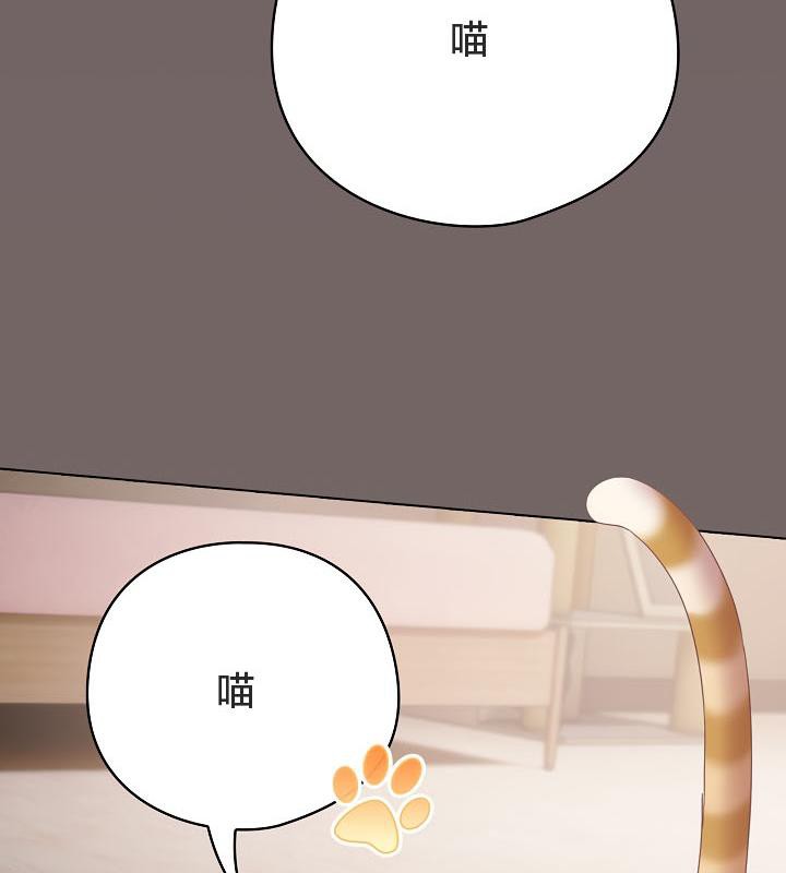 159P - 猫猫牵红线