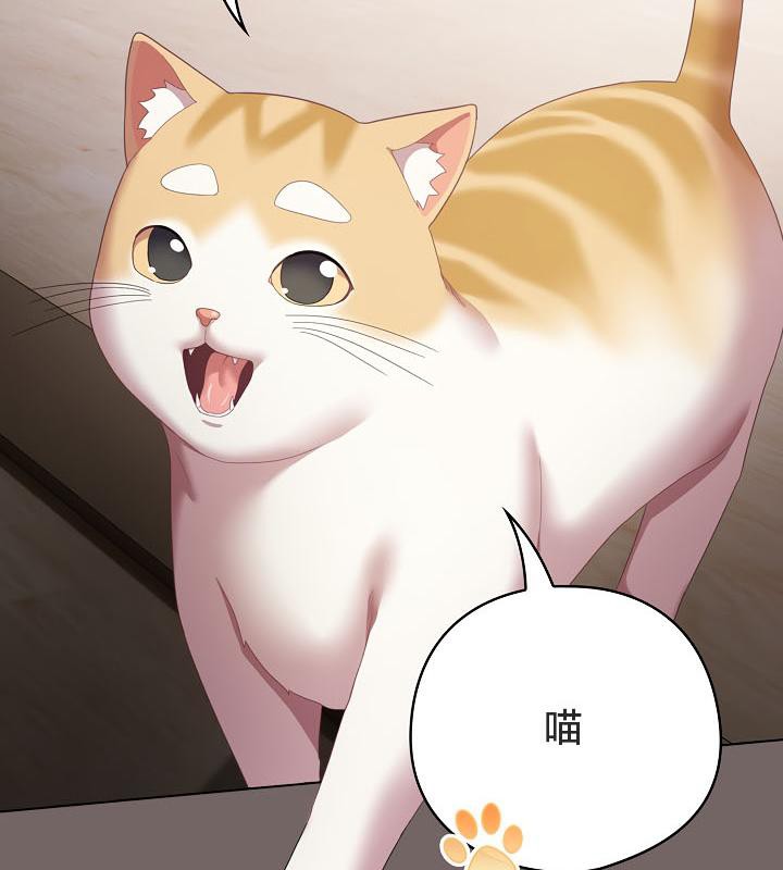 160P - 猫猫牵红线