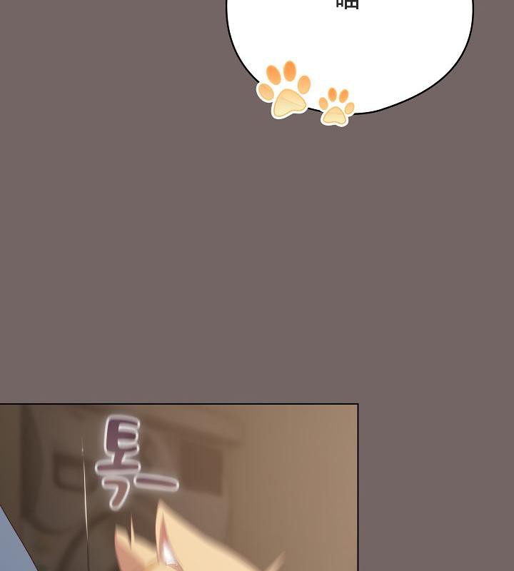 164P - 猫猫牵红线