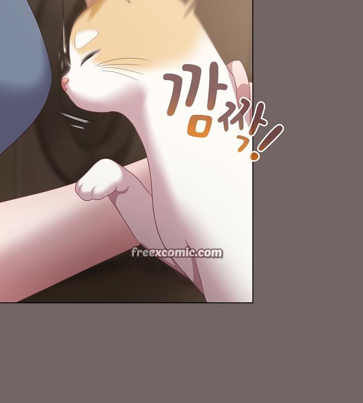 165P - 猫猫牵红线