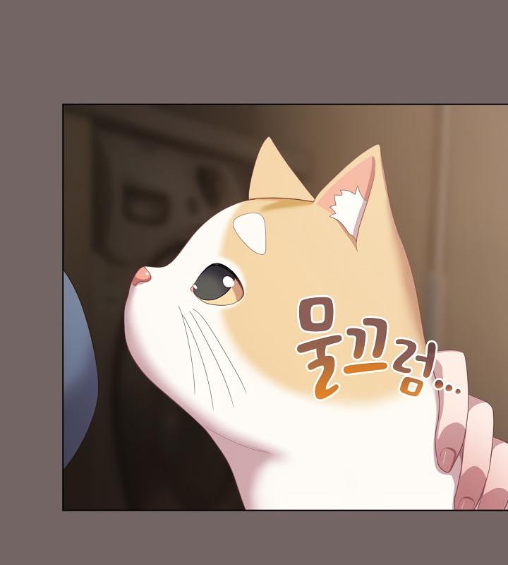 166P - 猫猫牵红线