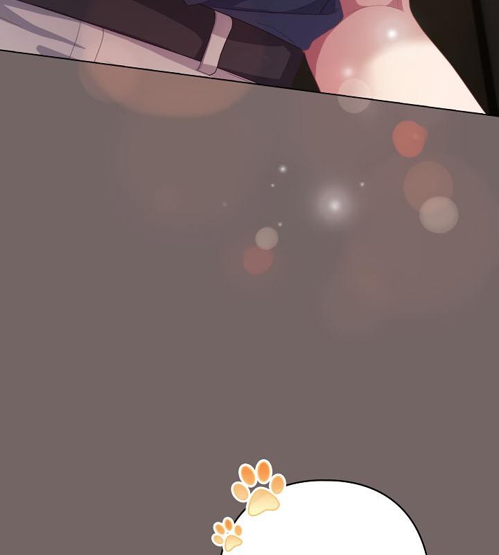 170P - 猫猫牵红线