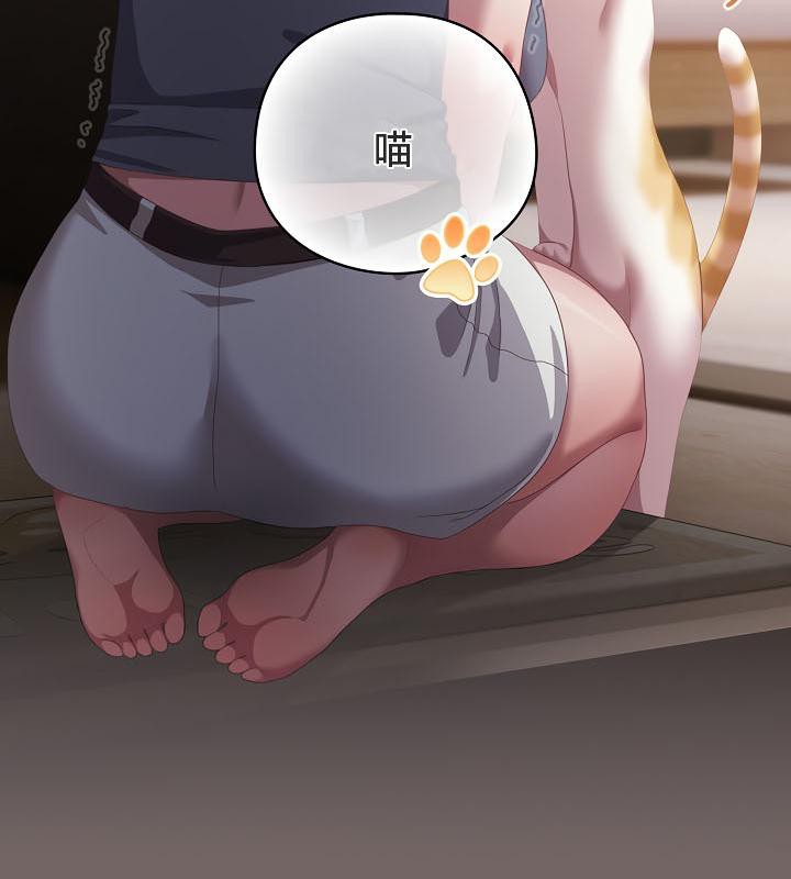 172P - 猫猫牵红线