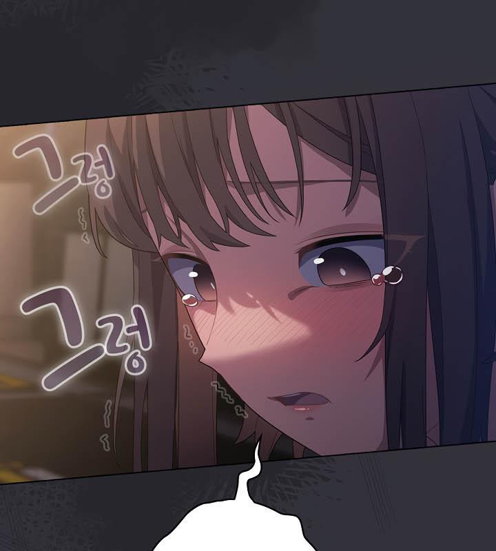 37P - 猫猫牵红线