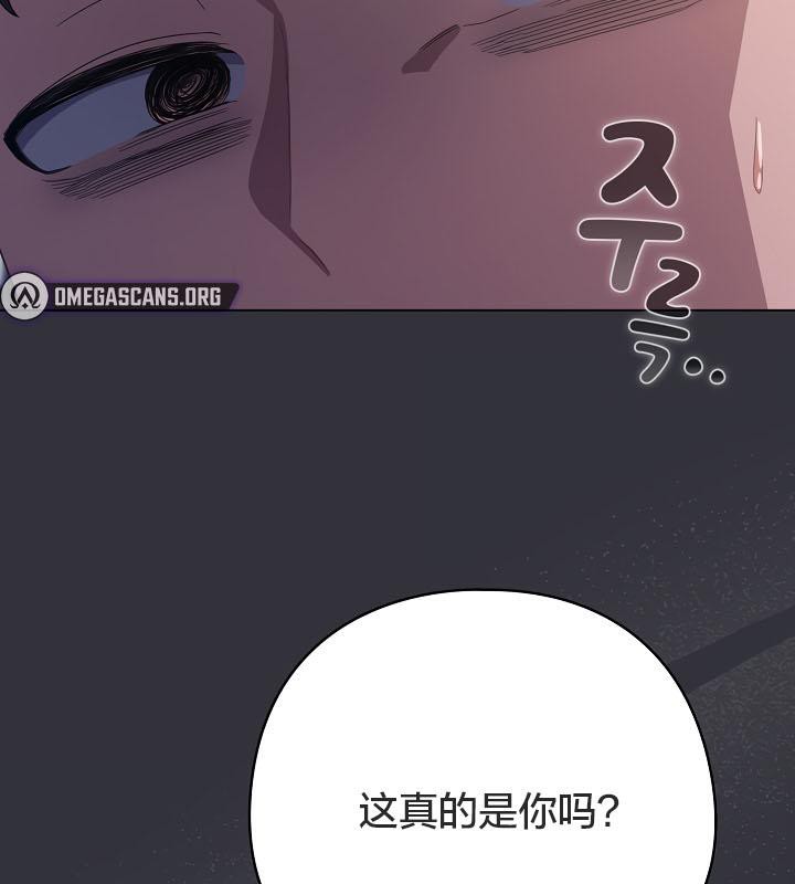 51P - 猫猫牵红线