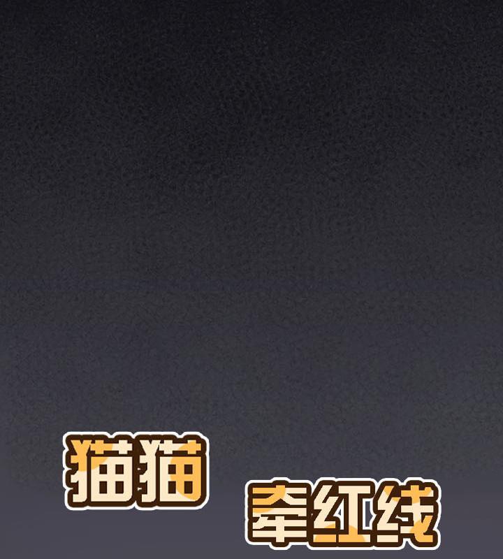 93P - 猫猫牵红线