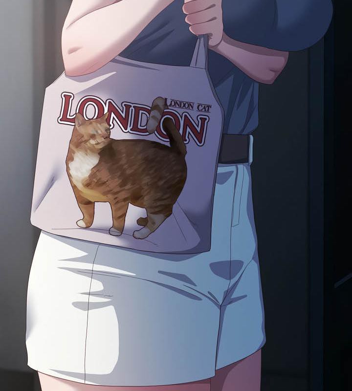 16P - 猫猫牵红线
