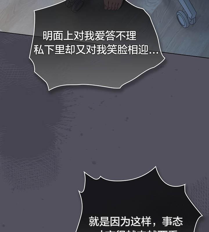 81P - 猫猫牵红线