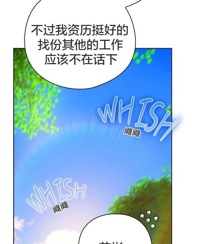 111P - 猫猫牵红线