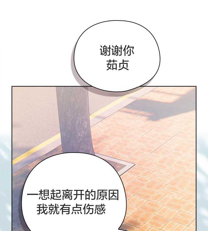 125P - 猫猫牵红线