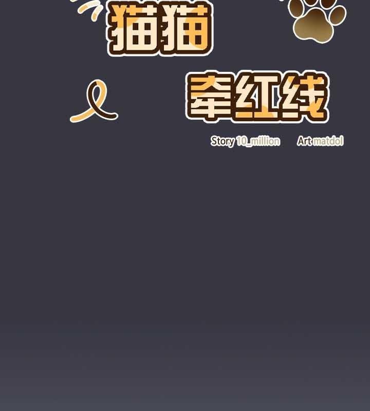 93P - 猫猫牵红线