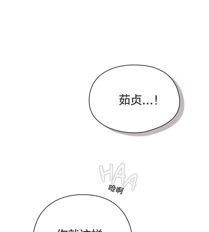 99P - 猫猫牵红线