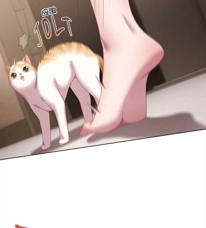 115P - 猫猫牵红线
