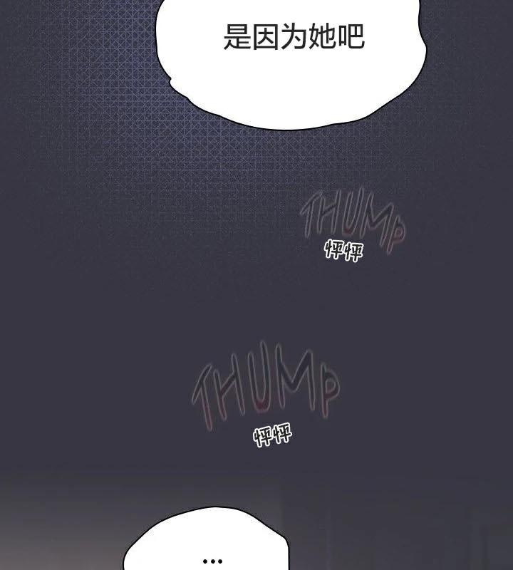 36P - 猫猫牵红线