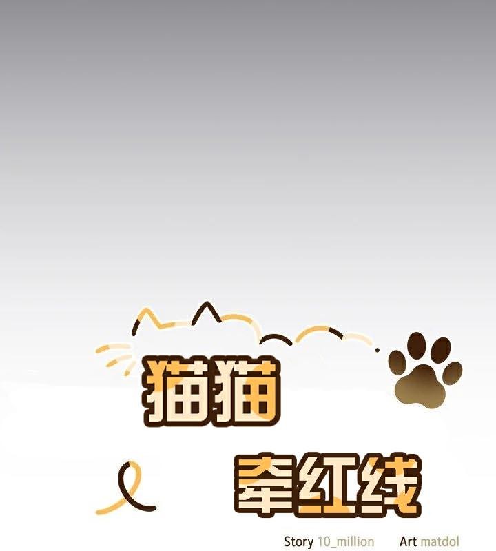 48P - 猫猫牵红线