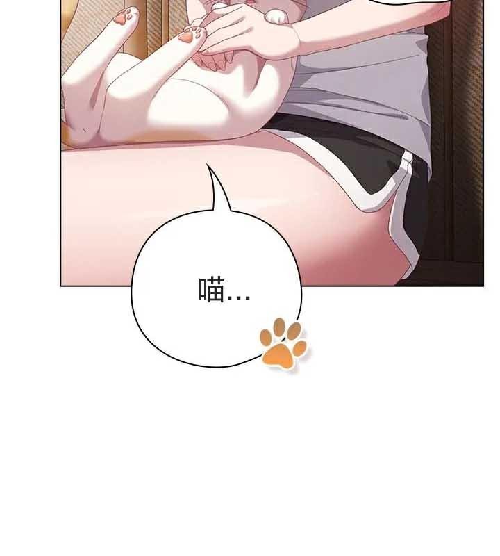 59P - 猫猫牵红线