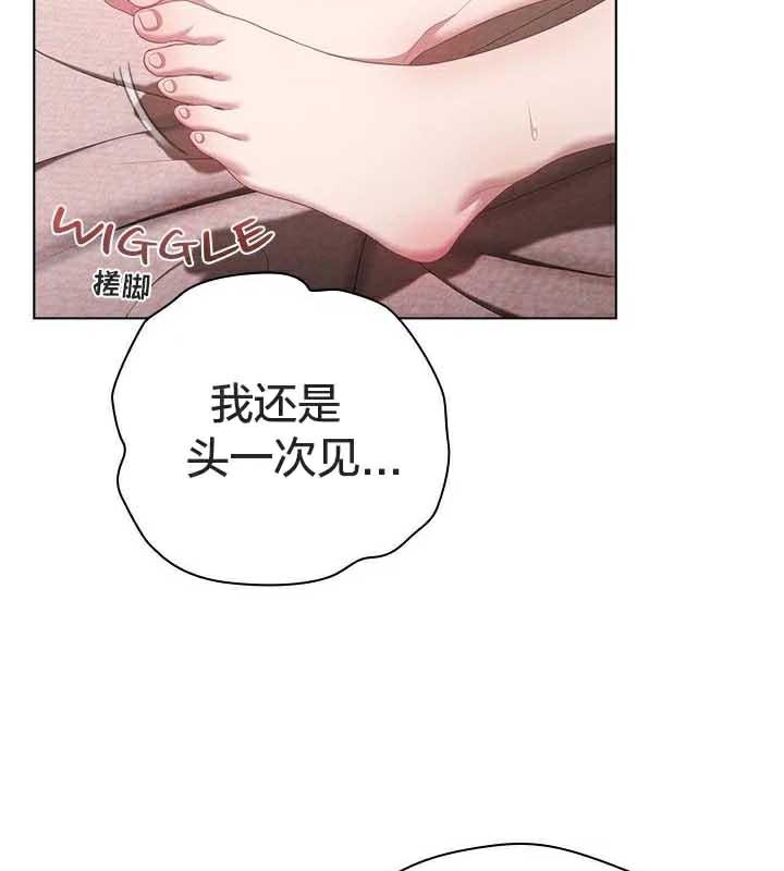 61P - 猫猫牵红线