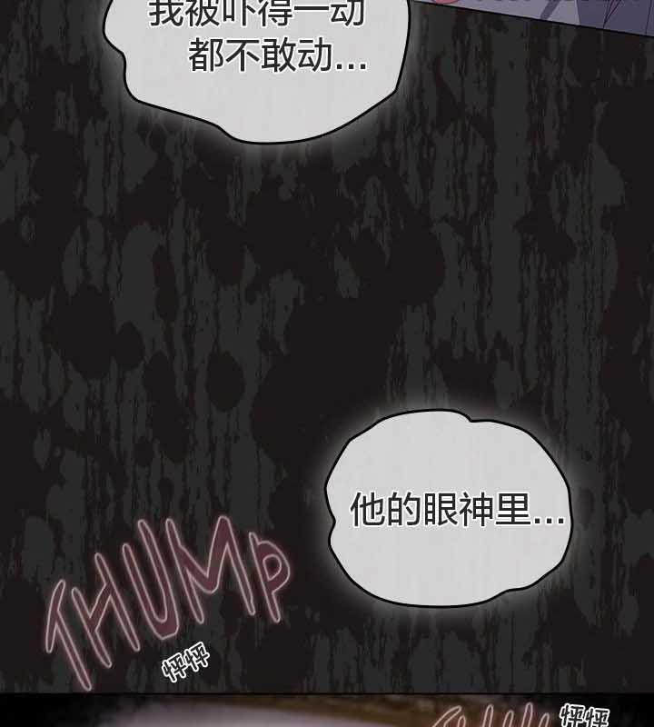 67P - 猫猫牵红线