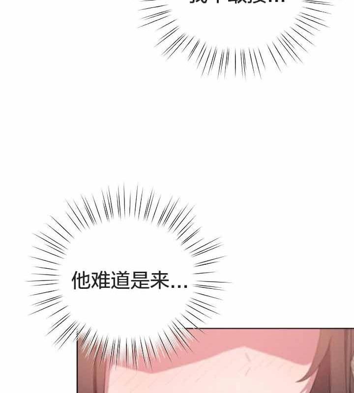 88P - 猫猫牵红线