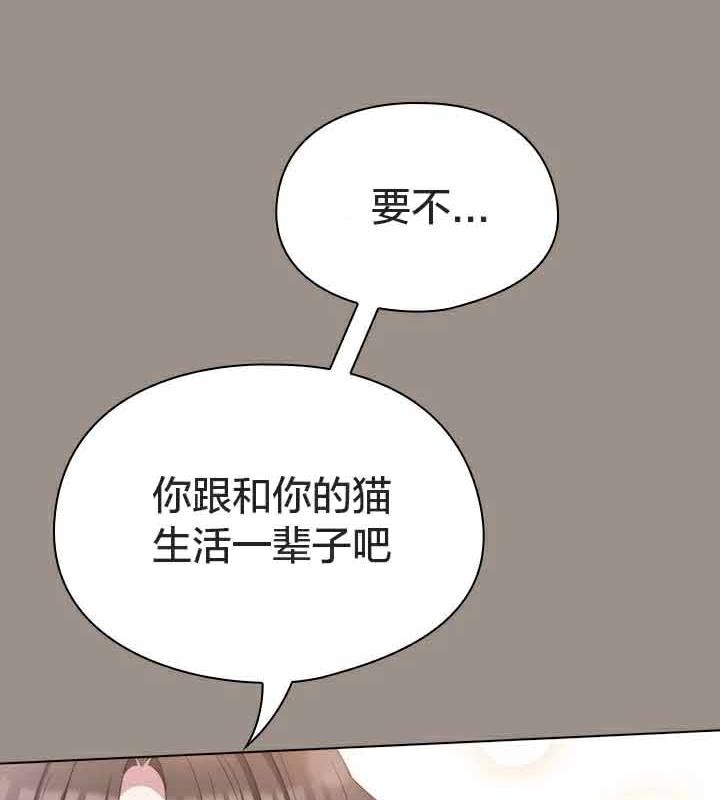 98P - 猫猫牵红线