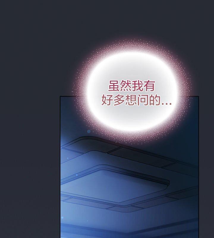 104P - 猫猫牵红线