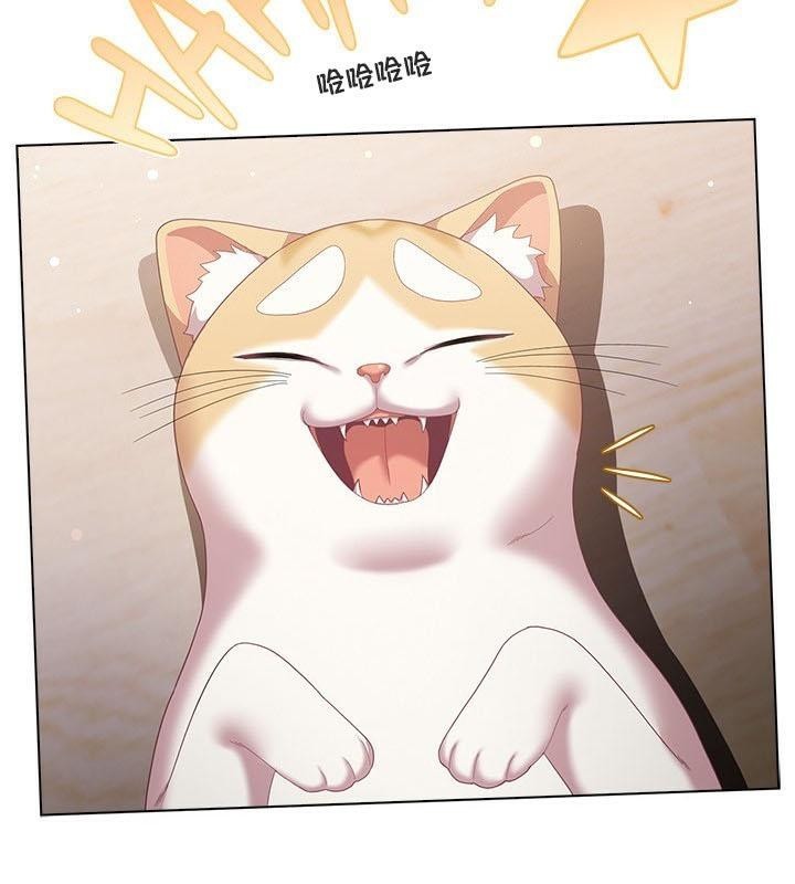 4P - 猫猫牵红线