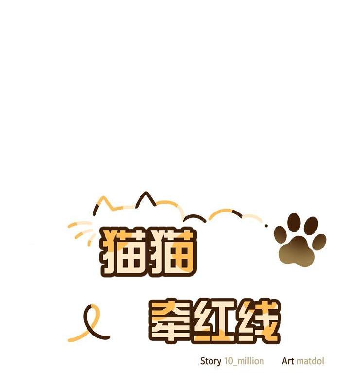 77P - 猫猫牵红线