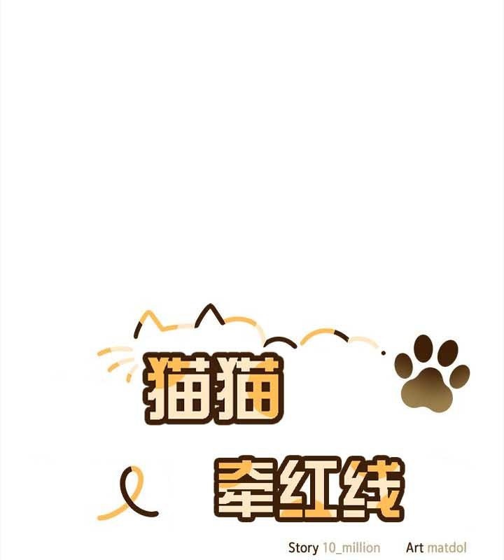 1P - 猫猫牵红线