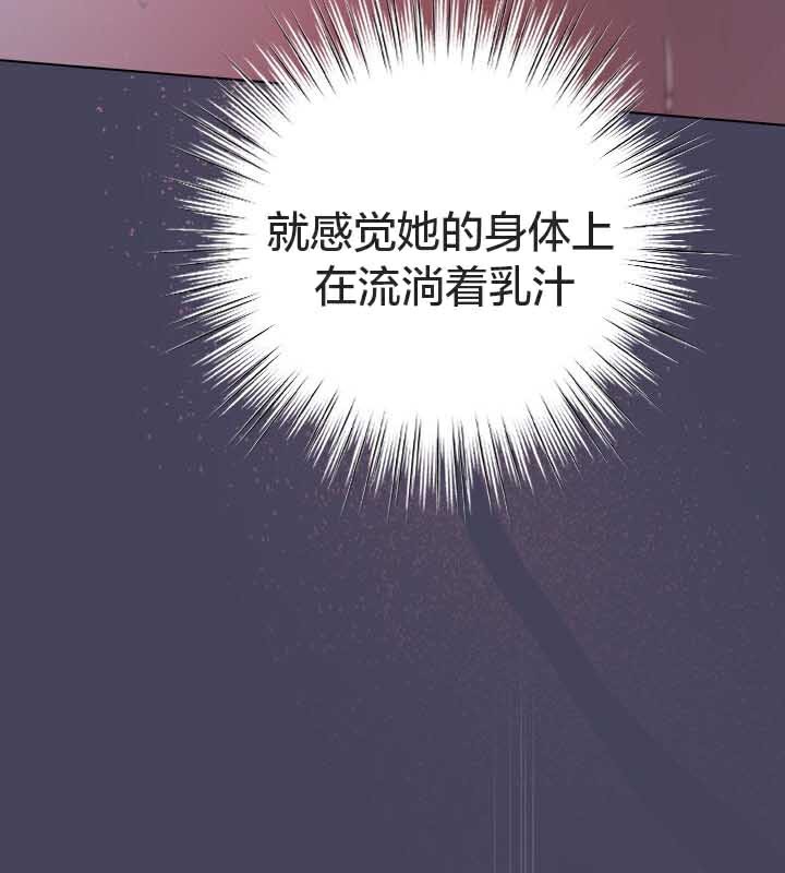 77P - 猫猫牵红线