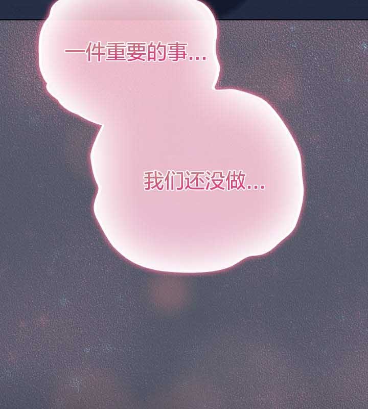 179P - 猫猫牵红线