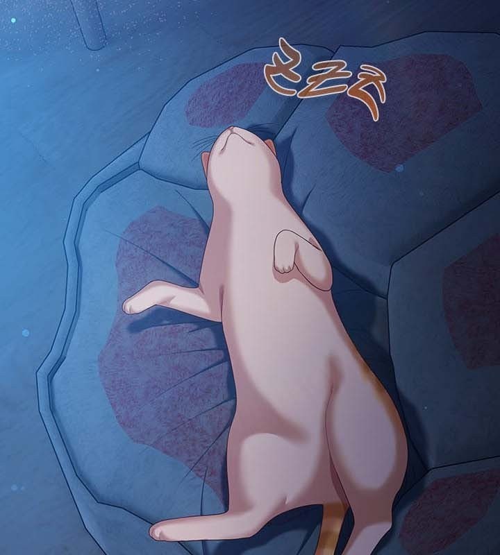 4P - 猫猫牵红线